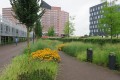Bolduc Den Bosch